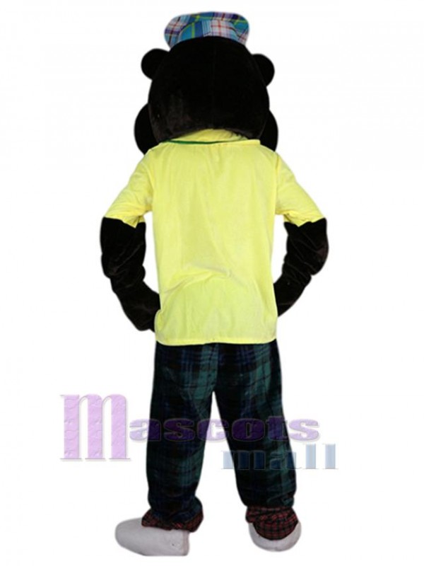 Gopher mascot costume