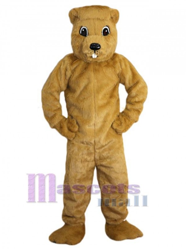 Gopher mascot costume