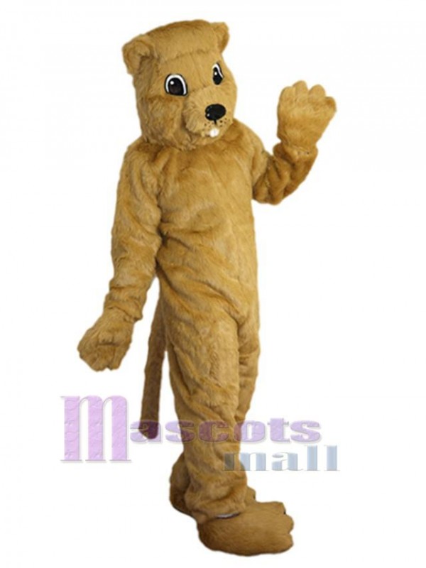 Gopher mascot costume