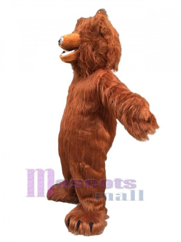 Bear mascot costume