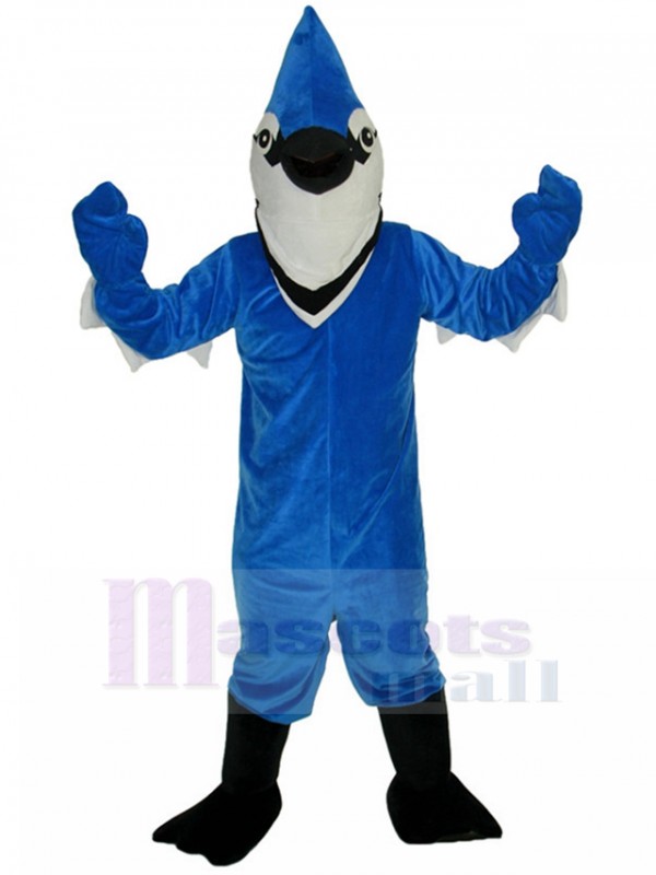 Bird mascot costume