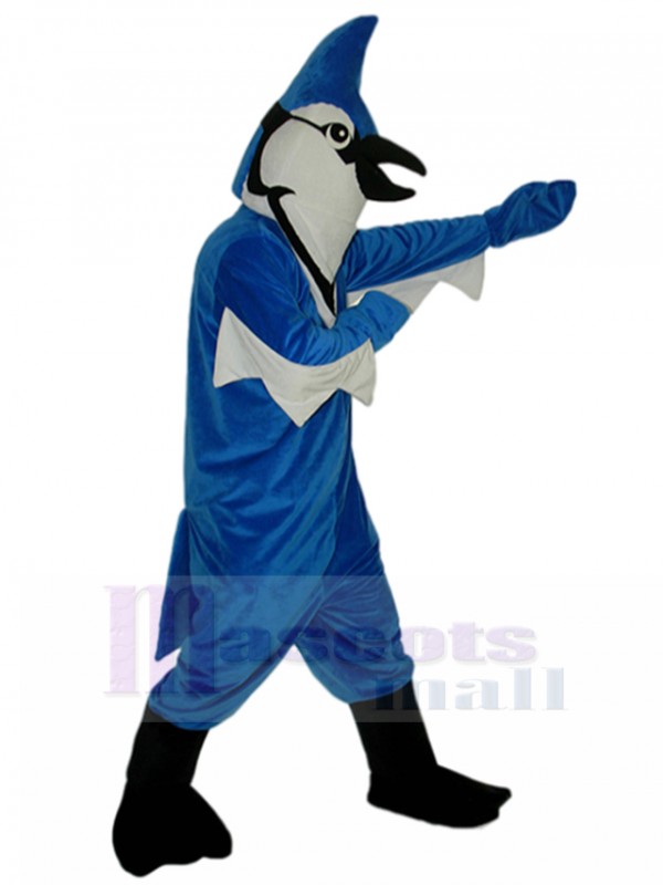 Bird mascot costume