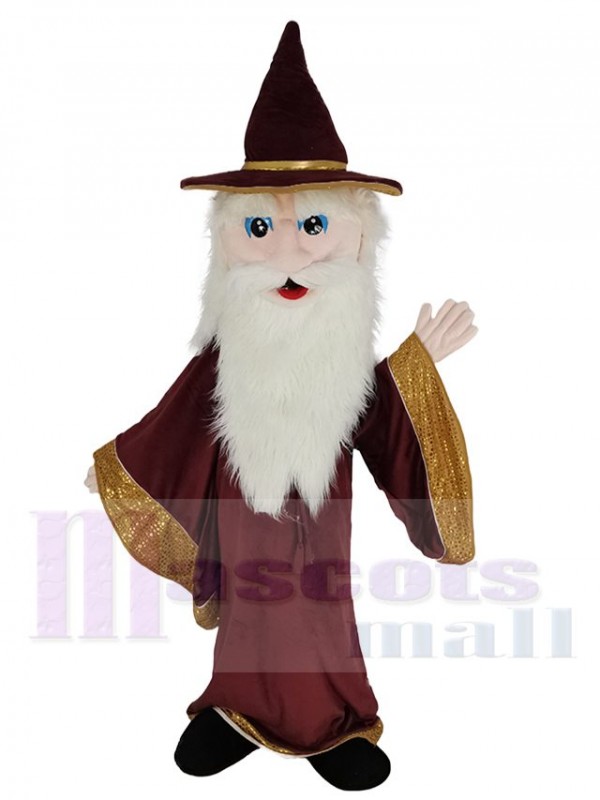 Merlin Wizard mascot costume