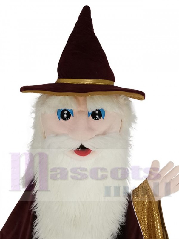 Merlin Wizard mascot costume