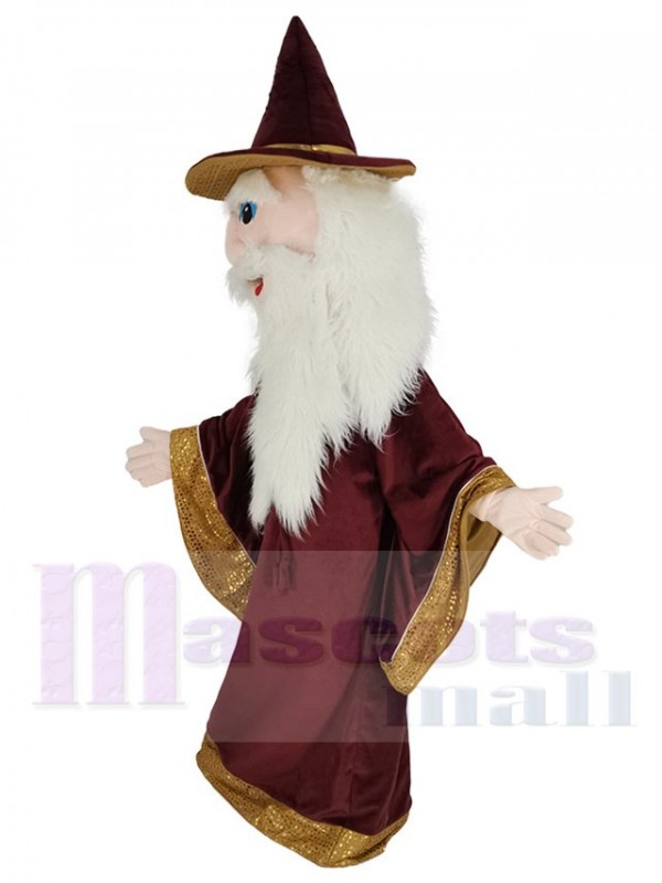 Merlin Wizard mascot costume