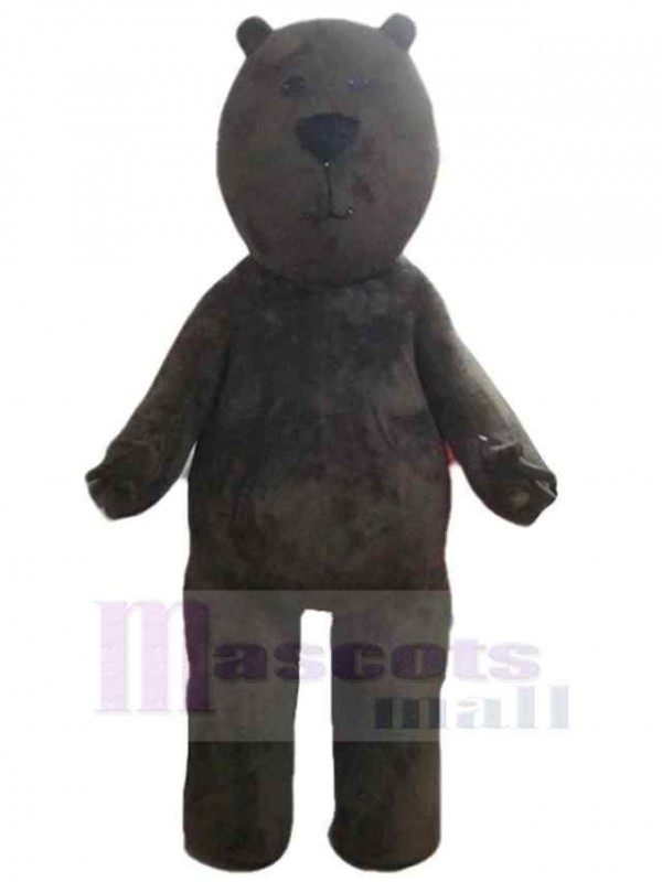 Bear mascot costume