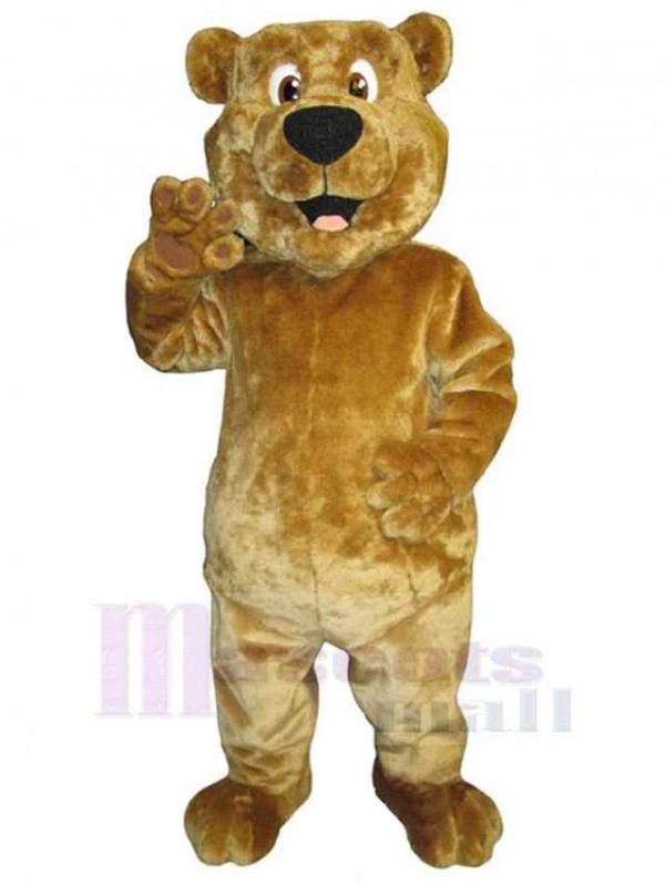 Bear mascot costume