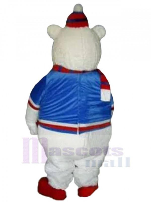 Bear mascot costume