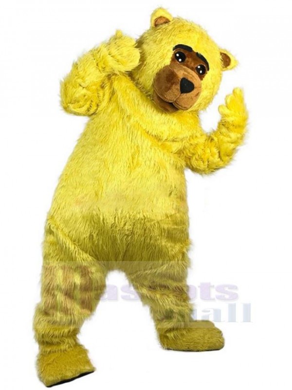 Bear mascot costume