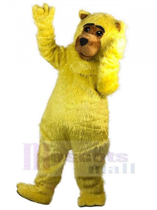 Bear mascot costume