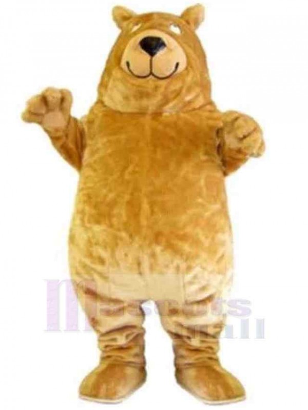 Bear mascot costume