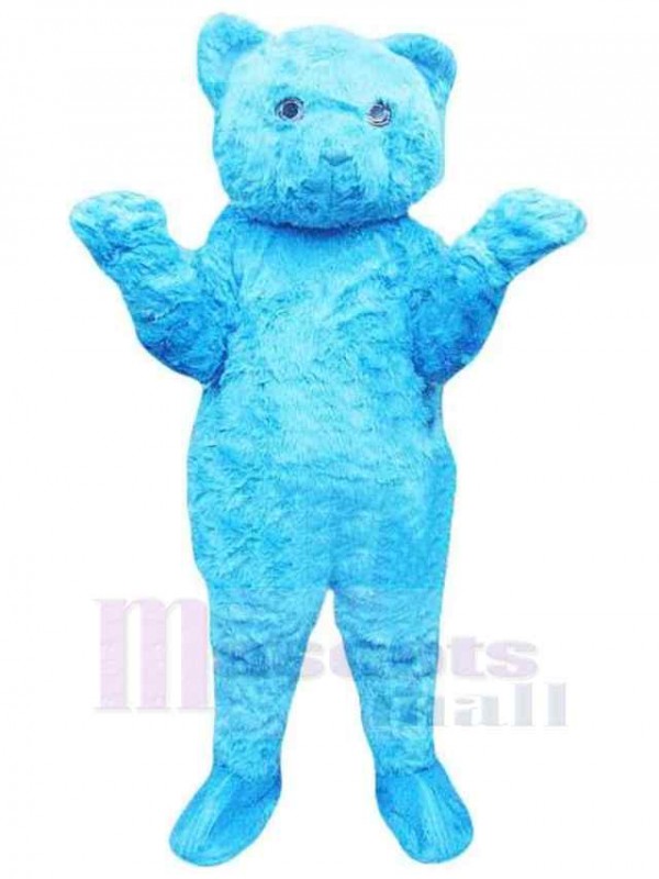 Bear mascot costume