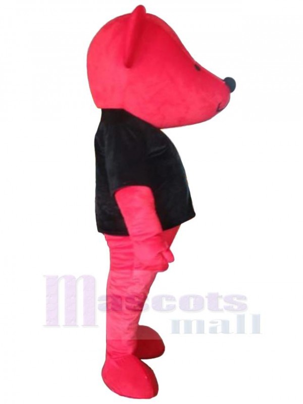 Bear mascot costume