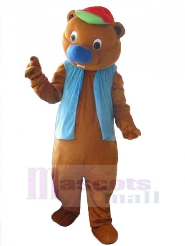 Bear mascot costume