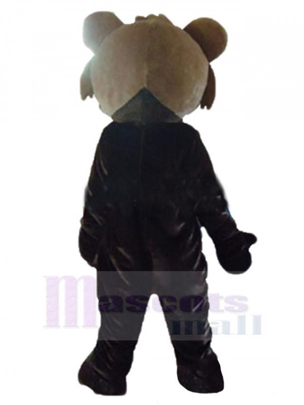 Bear mascot costume