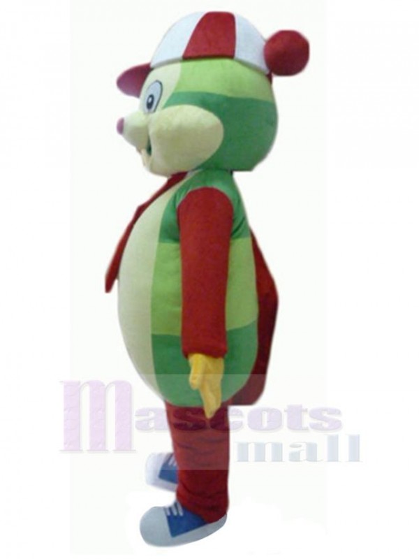 Bear mascot costume