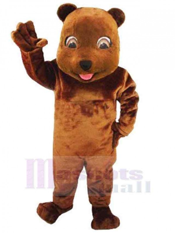 Bear mascot costume