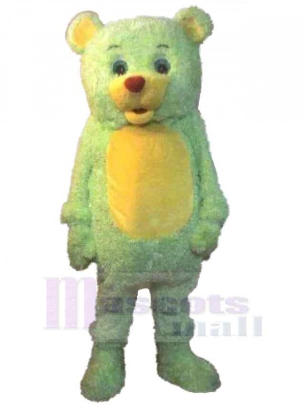 Bear mascot costume
