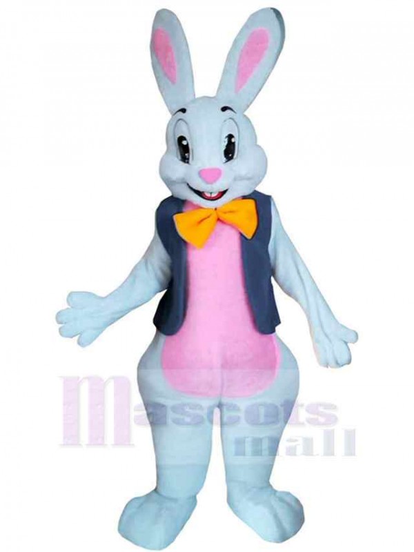 Bunny mascot costume