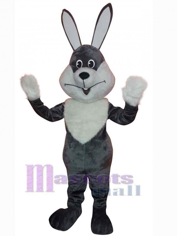 Easter Bunny Rabbit mascot costume