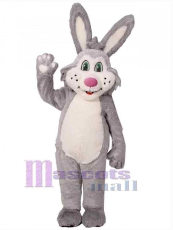 Easter Bunny Rabbit mascot costume