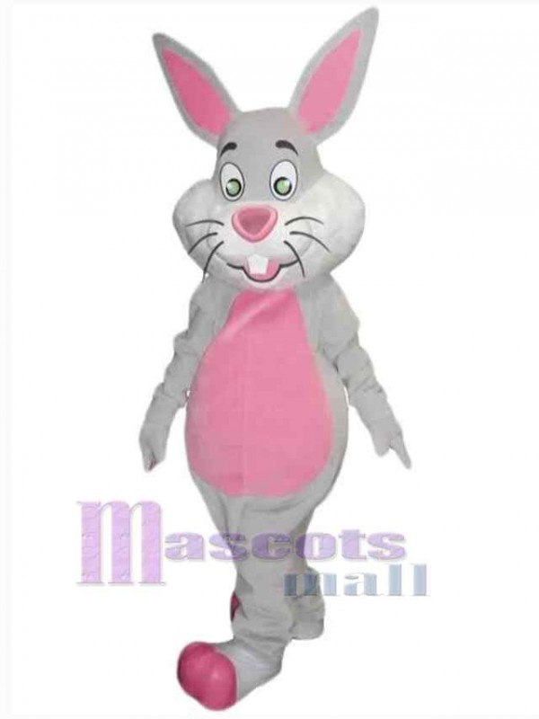 Easter Bunny Rabbit mascot costume