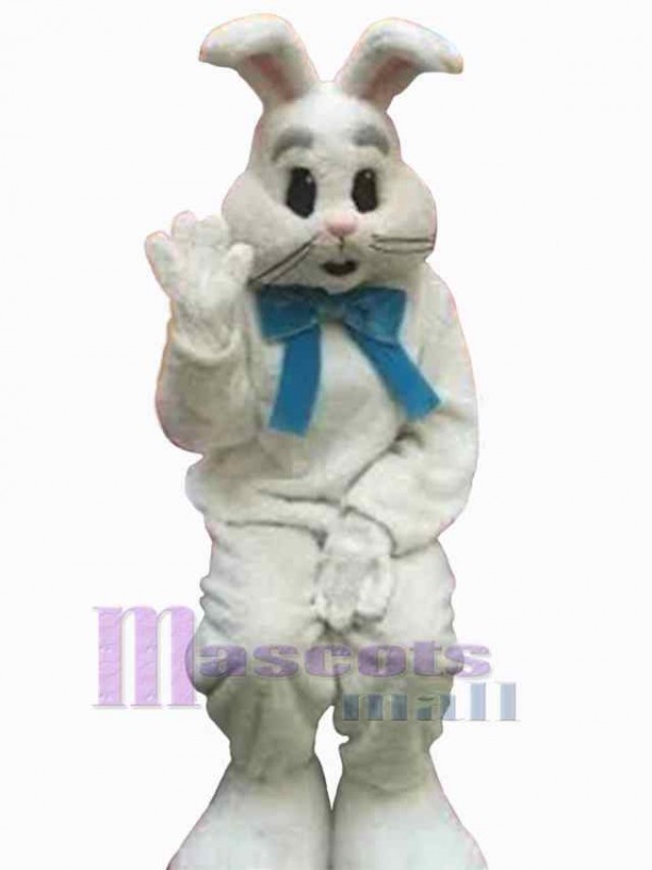 Easter Bunny Rabbit mascot costume