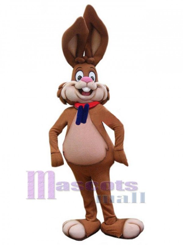 Easter Bunny Rabbit mascot costume