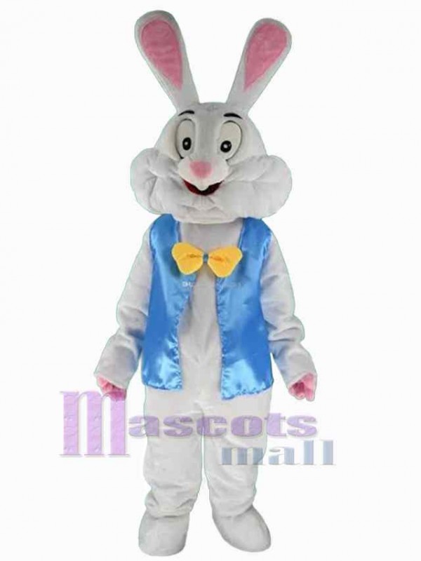 Easter Bunny Rabbit mascot costume