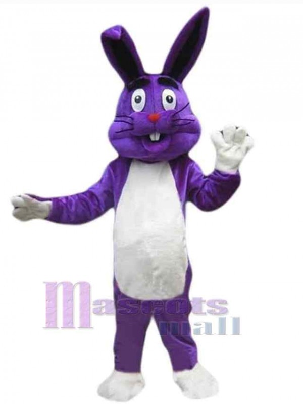 Easter Bunny Rabbit mascot costume