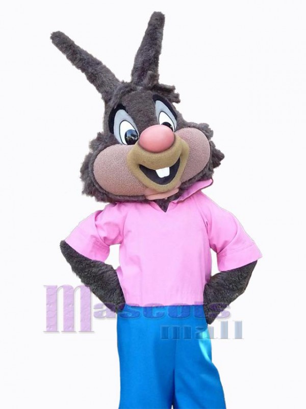 Easter Bunny Rabbit mascot costume