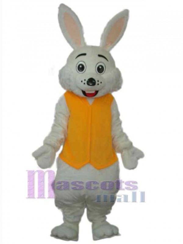 Easter Bunny Rabbit mascot costume