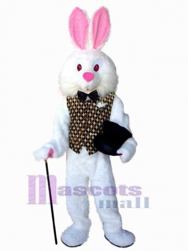 Easter Bunny Rabbit mascot costume