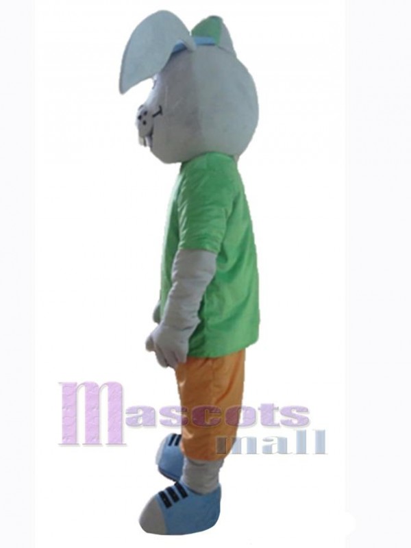 Easter Bunny Rabbit mascot costume