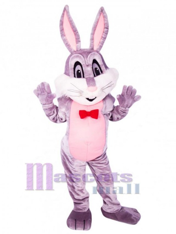 Easter Bunny Rabbit mascot costume