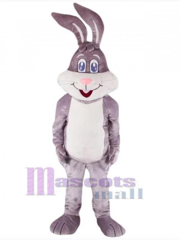 Easter Bunny Rabbit mascot costume