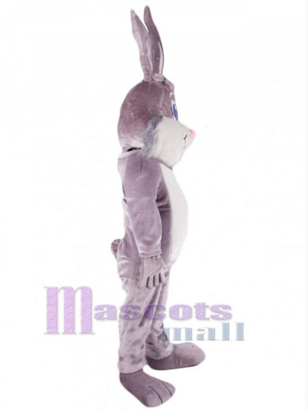 Easter Bunny Rabbit mascot costume