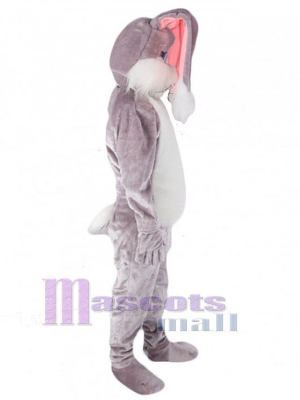 Easter Bunny Rabbit mascot costume