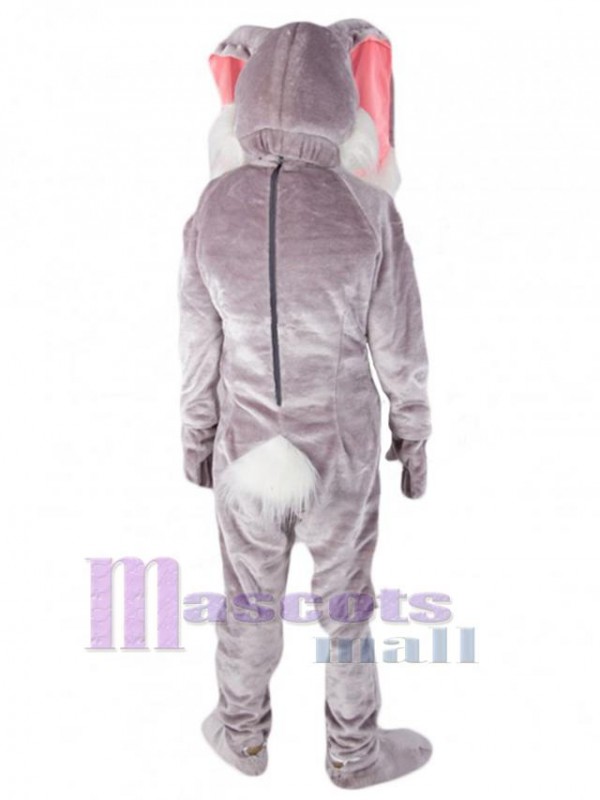 Easter Bunny Rabbit mascot costume