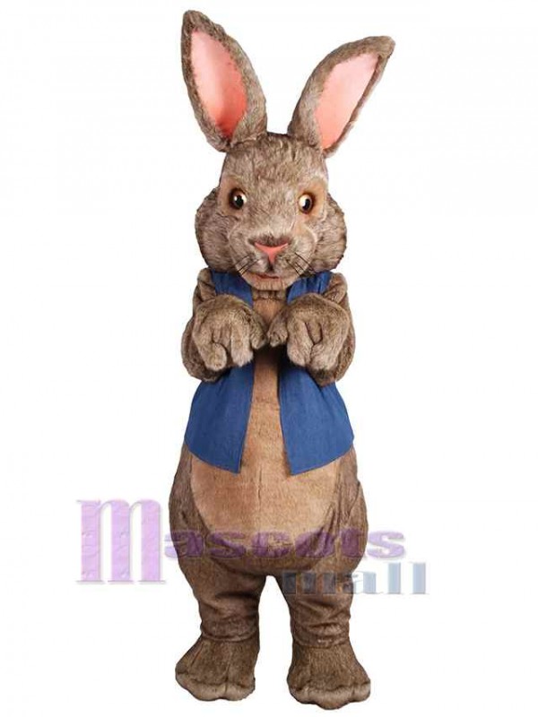 Easter Bunny Rabbit mascot costume