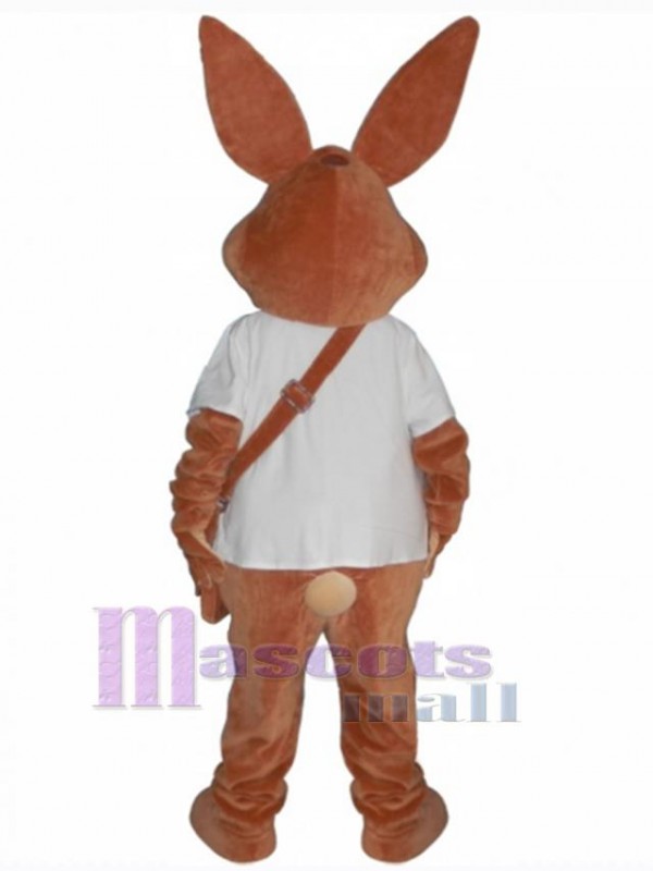Easter Bunny Rabbit mascot costume