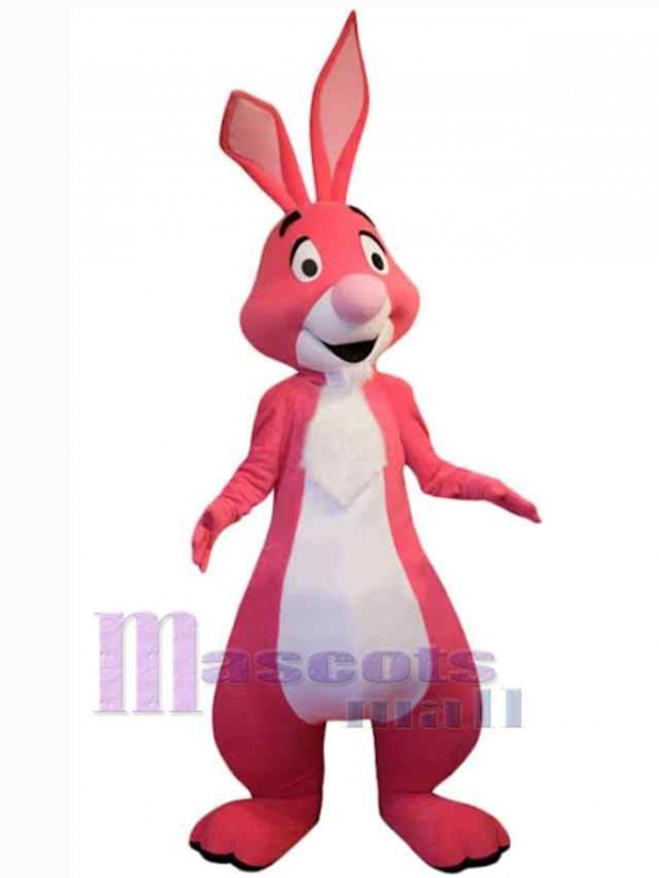 Easter Bunny Rabbit mascot costume