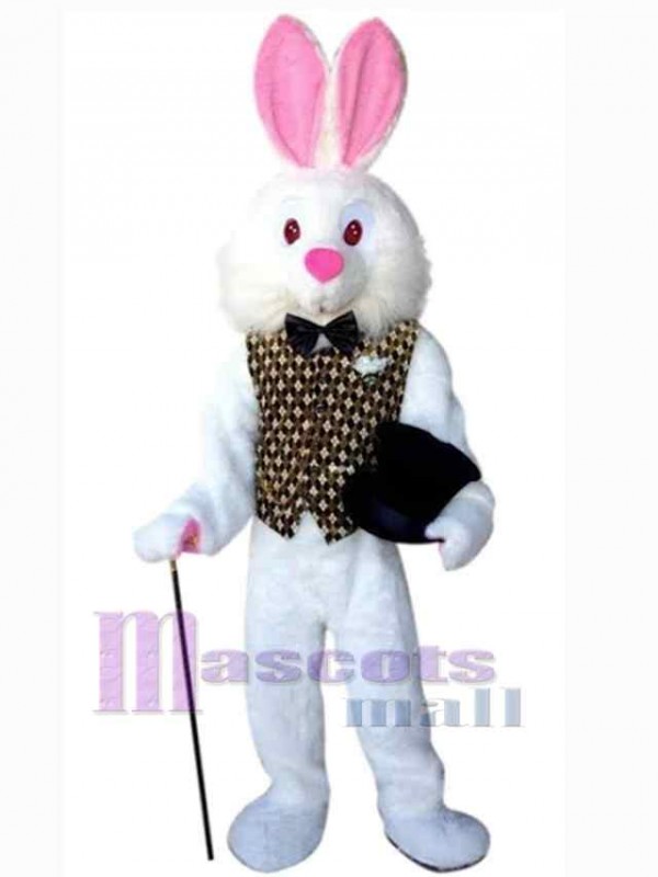 Easter Bunny Rabbit mascot costume
