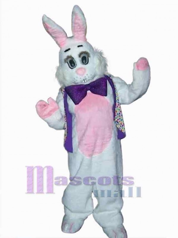 Easter Bunny Rabbit mascot costume