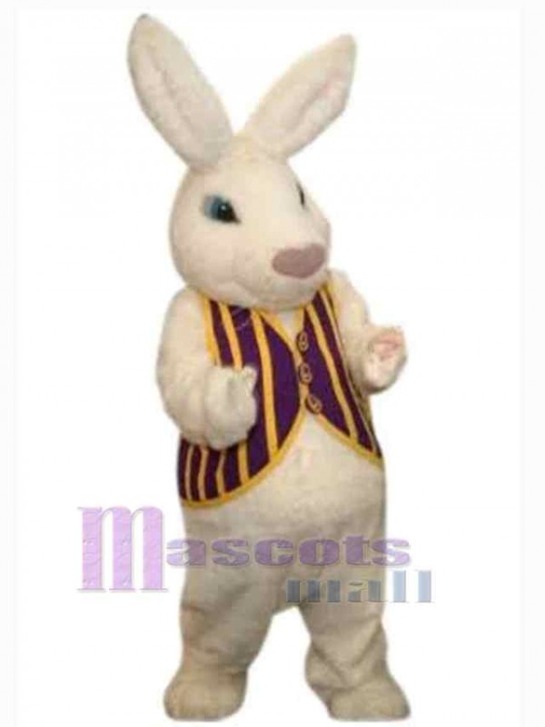 Easter Bunny Rabbit mascot costume