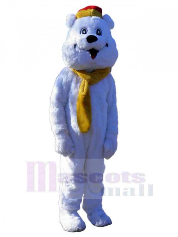 Bear mascot costume