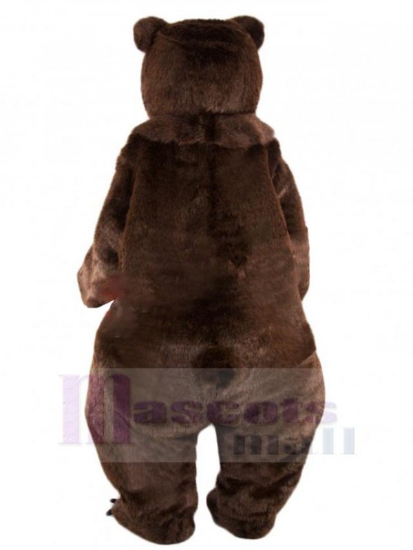 Bear mascot costume