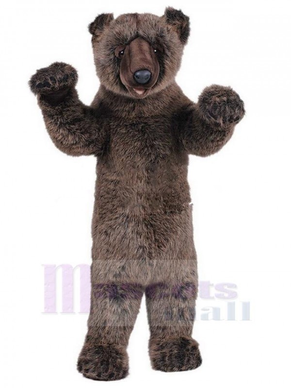 Bear mascot costume