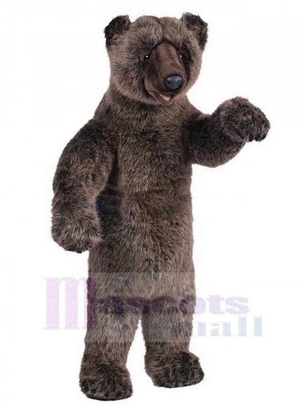 Bear mascot costume