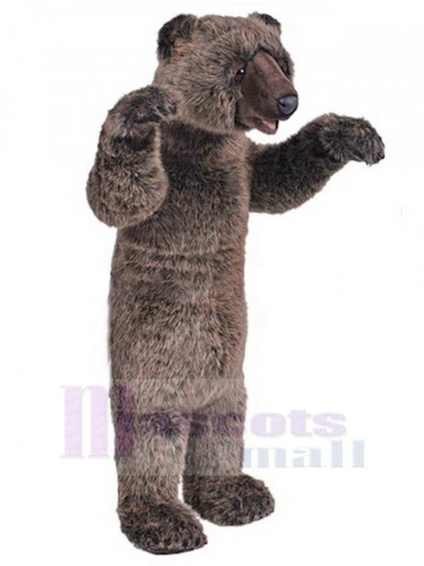 Bear mascot costume